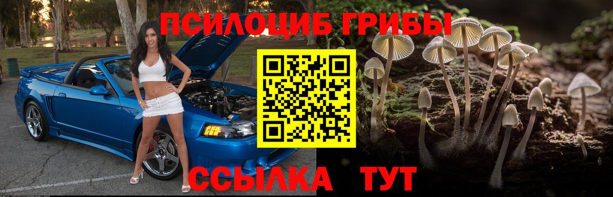 Галлюциногенные грибы мухоморы Одинцово